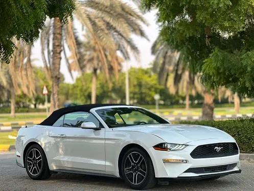 Ford Mustang 2.3L EcoBoost Coupe 2023