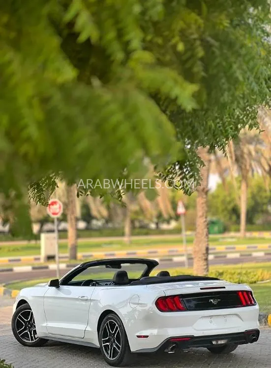 Ford Mustang 2023 for Sale in Sharjah Image-14