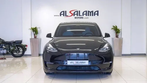 Tesla Model Y Performance 2023