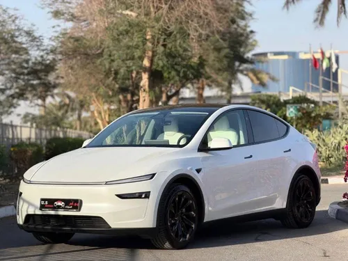 Tesla Model Y Long Range 2025
