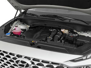 هيونداي سانتا في الخارجية 