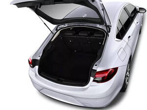 أوبل إنسينيا الداخلية 