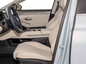 بي واي دي تشين إل الداخلية 