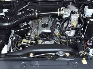 جريت وول وينجل 6 الخارجية 