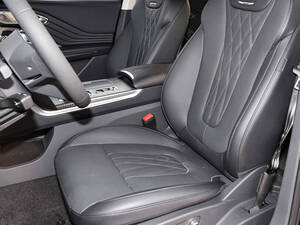 هونغ تشي HS7 الداخلية 