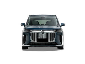 فوياه دريمر الخارجية 