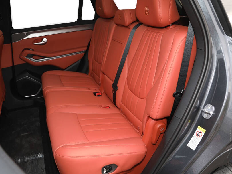 بي واي دي Tang L الداخلية 