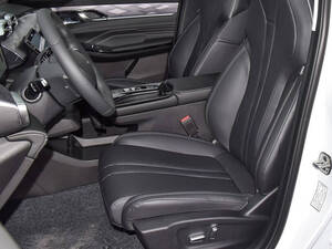 دونغ فِنغ Mage الداخلية 