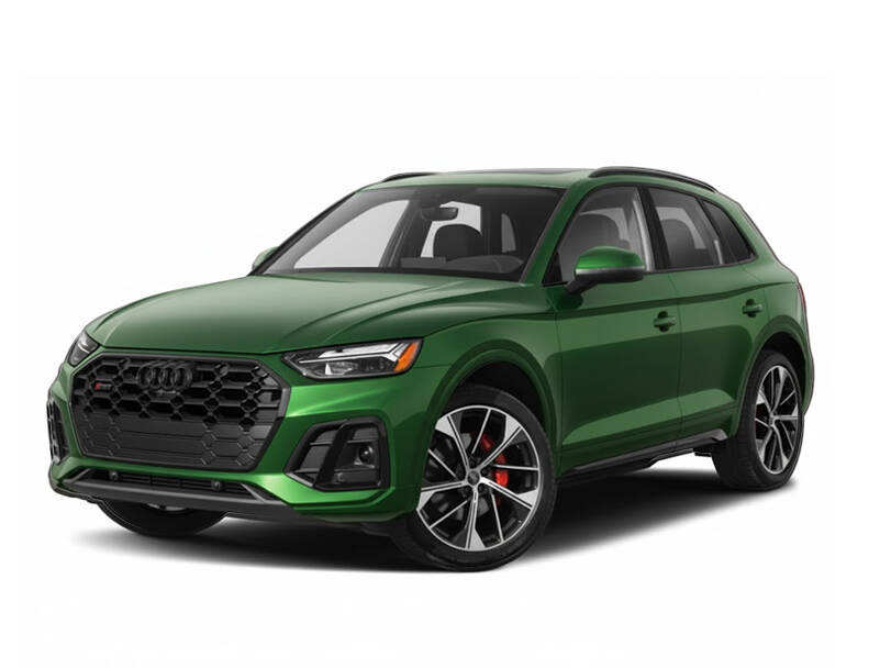 District Green_#505843