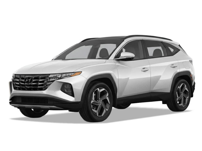 Shimmering Silver_#a5a5a5