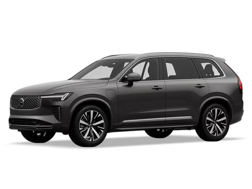 Platinum Grey_#4c4743